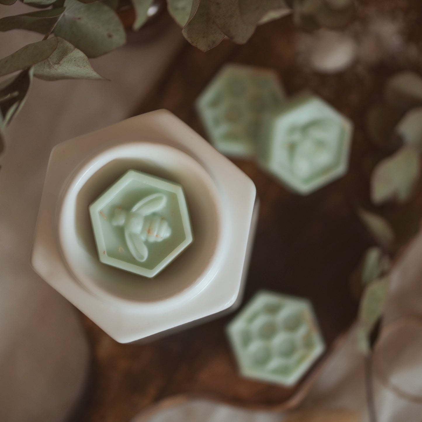 Sea Minerals & Mimosa