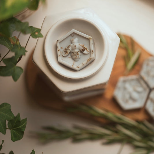 Raindrops & Rosemary