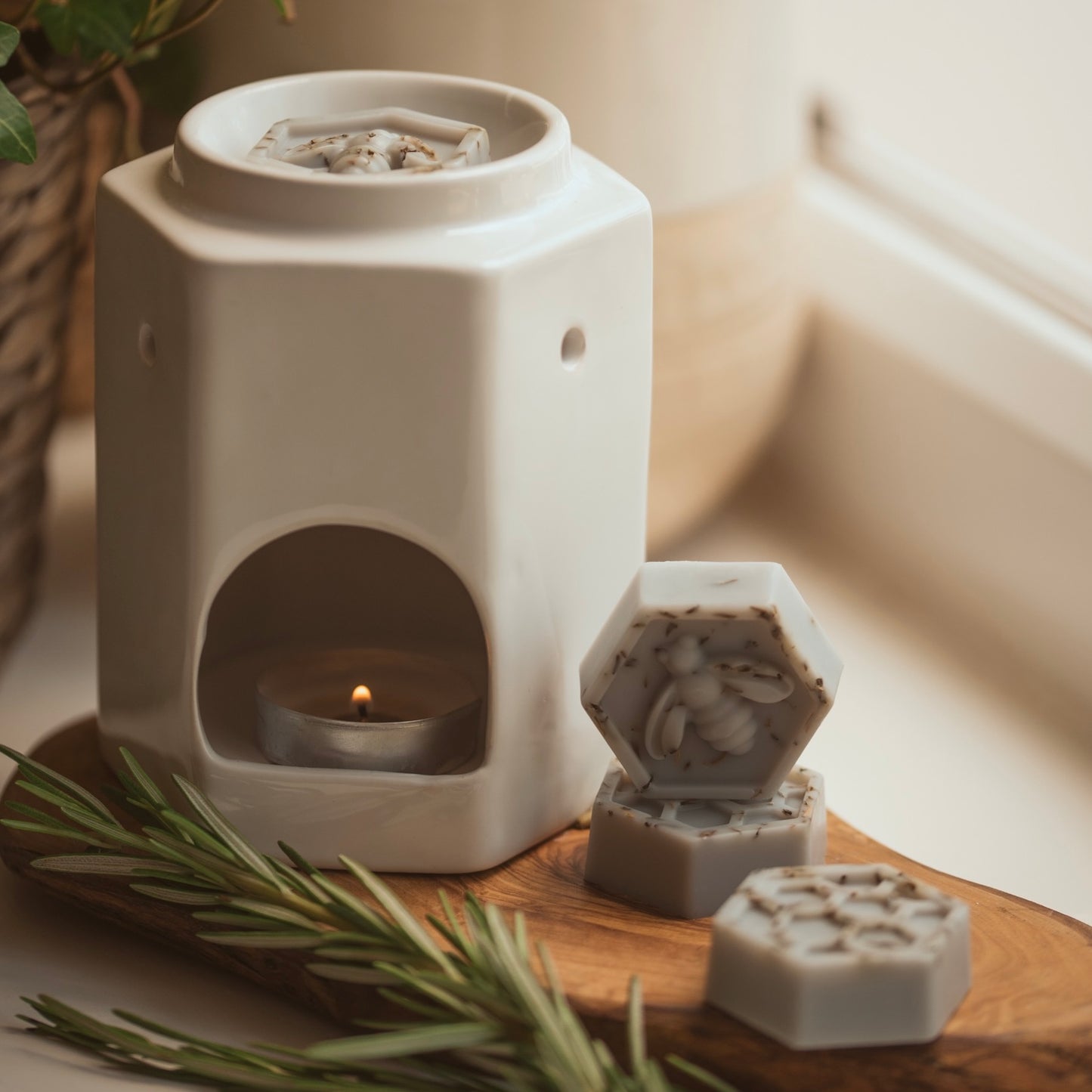 Raindrops & Rosemary