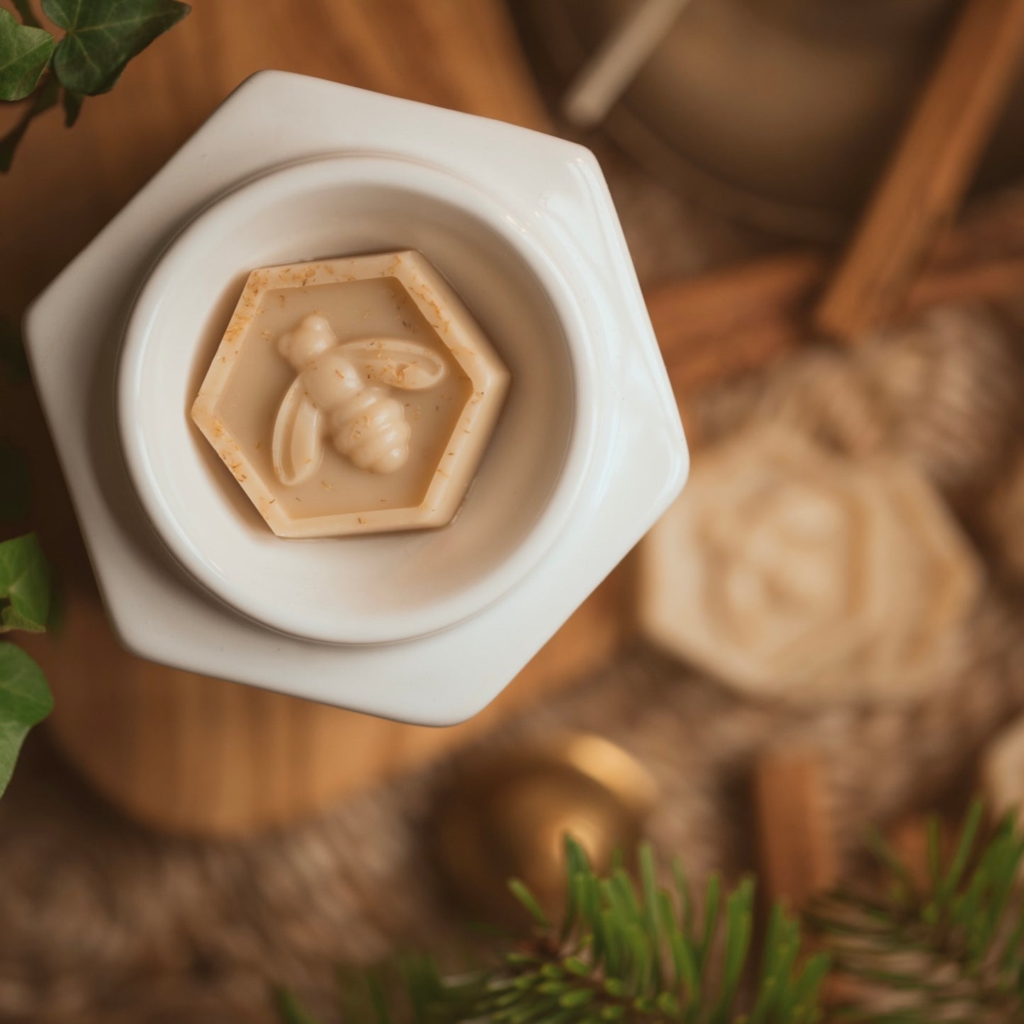 Cinnamon & White Ginger