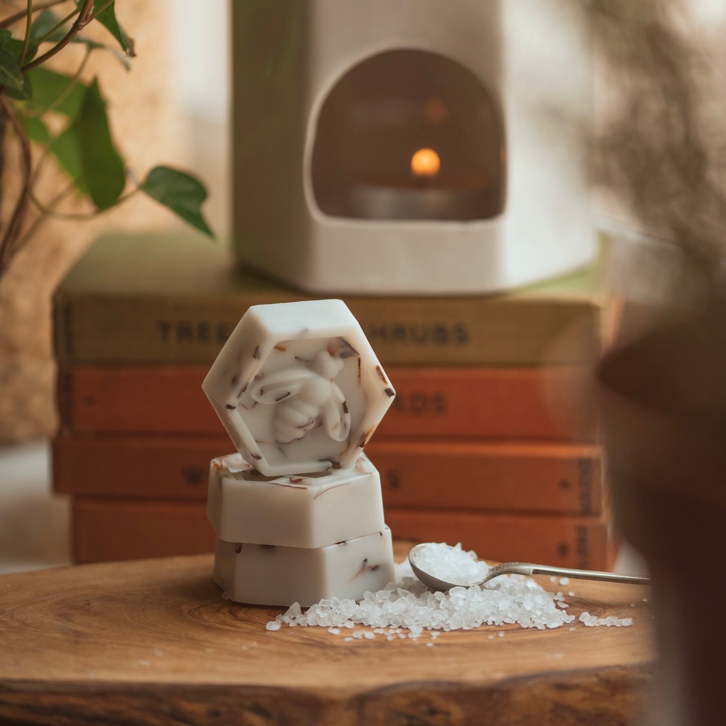 Rock Salt & Driftwood