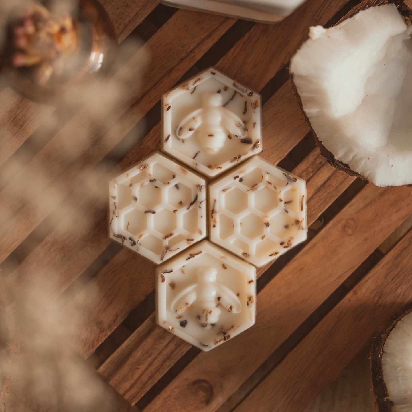 Coconut & Sandalwood