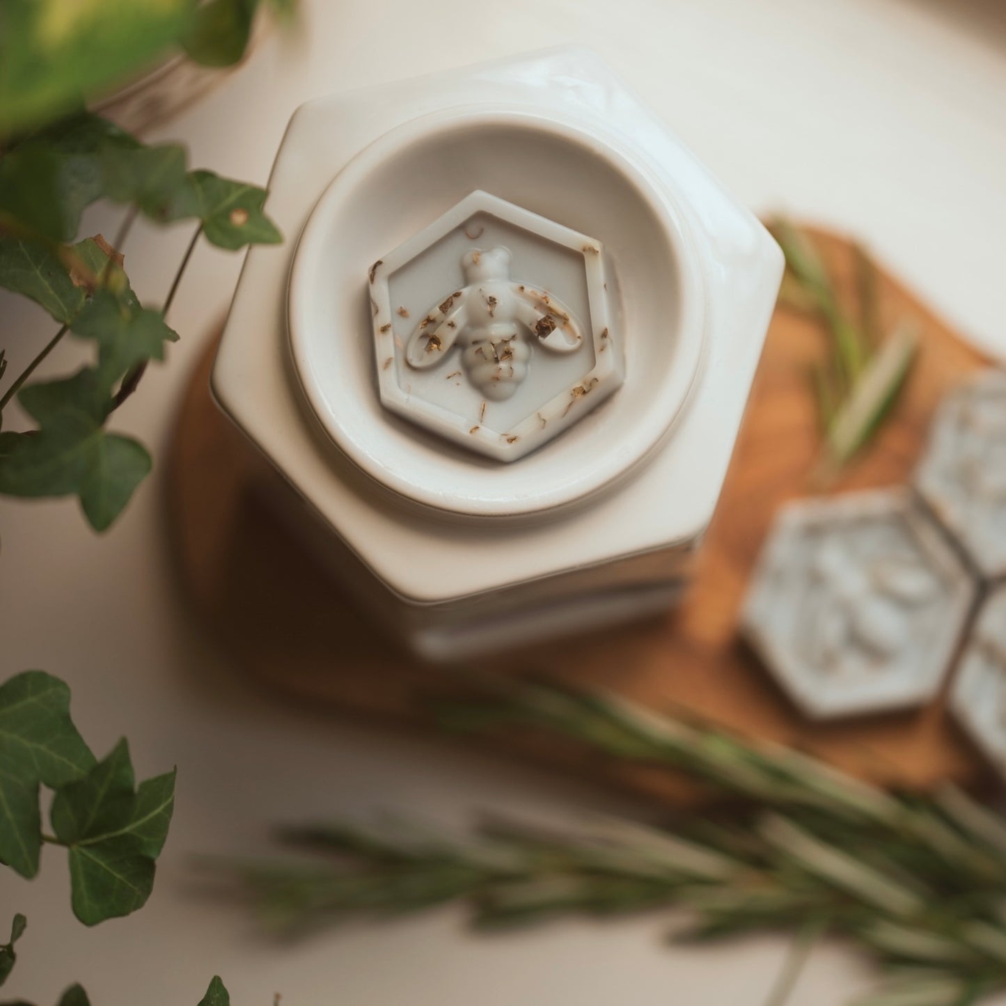 Raindrops & Rosemary