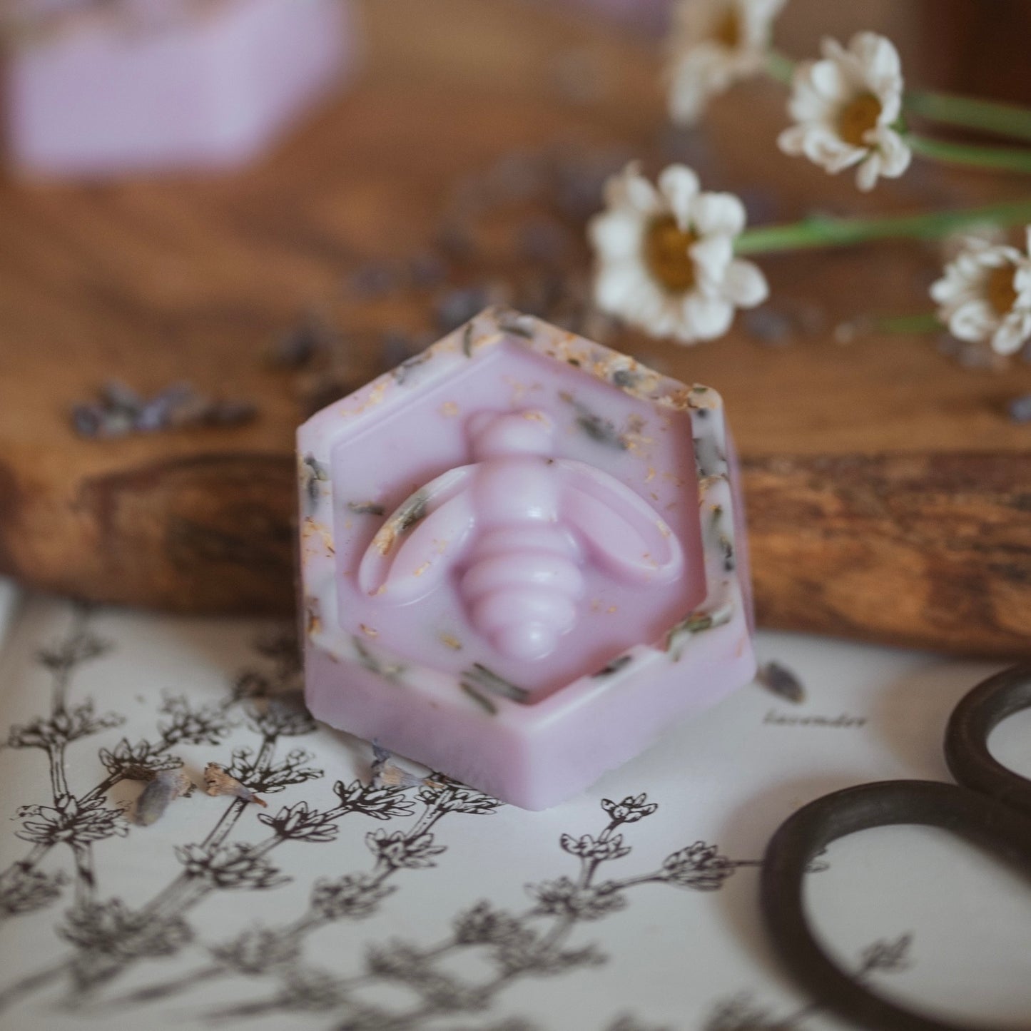 Lavender & Chamomile