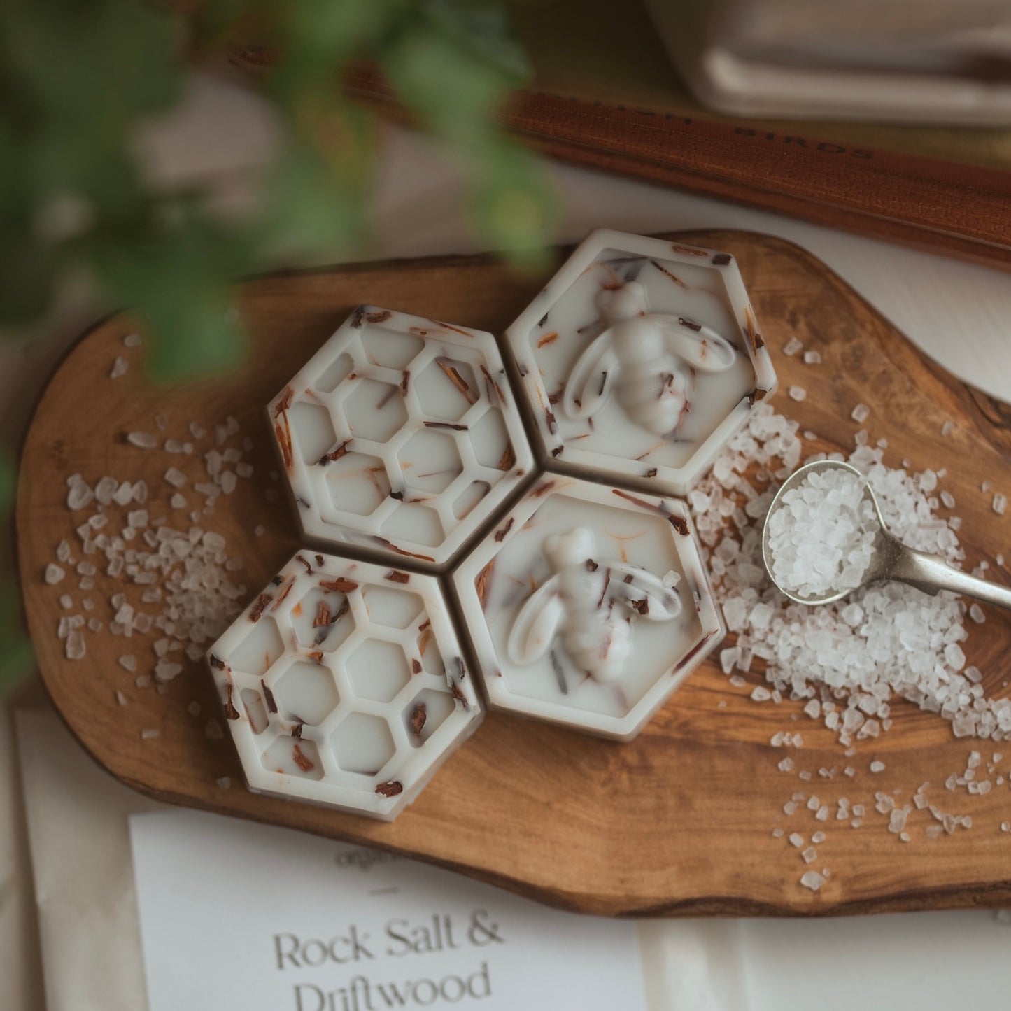 Rock Salt & Driftwood