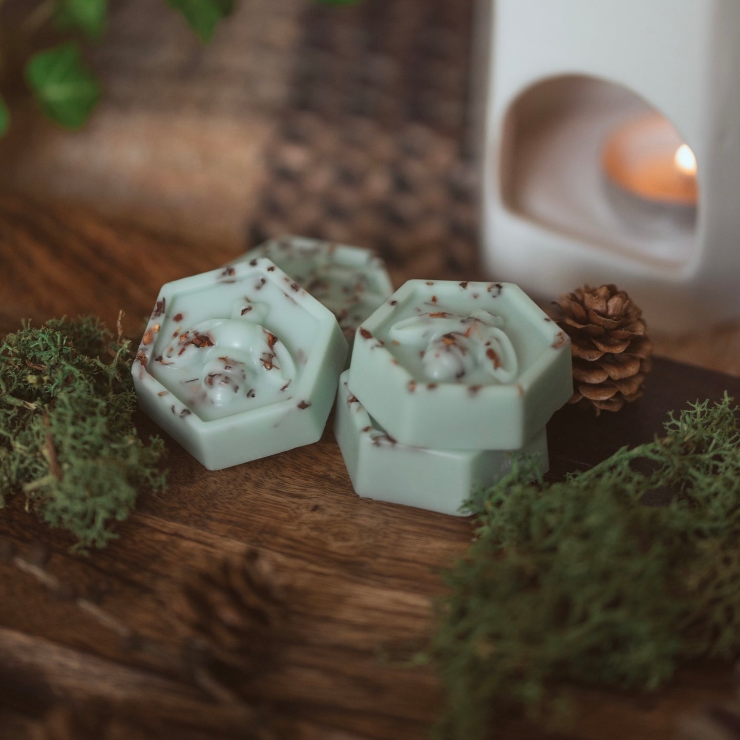 Geranium & Willow Moss