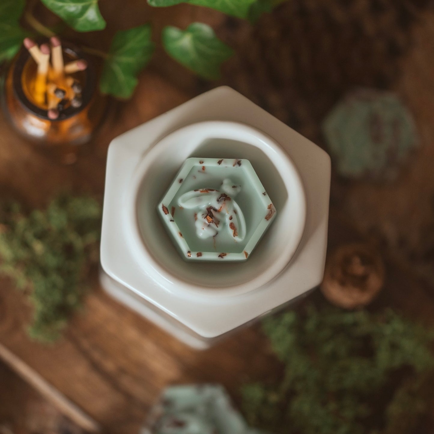 Geranium & Willow Moss