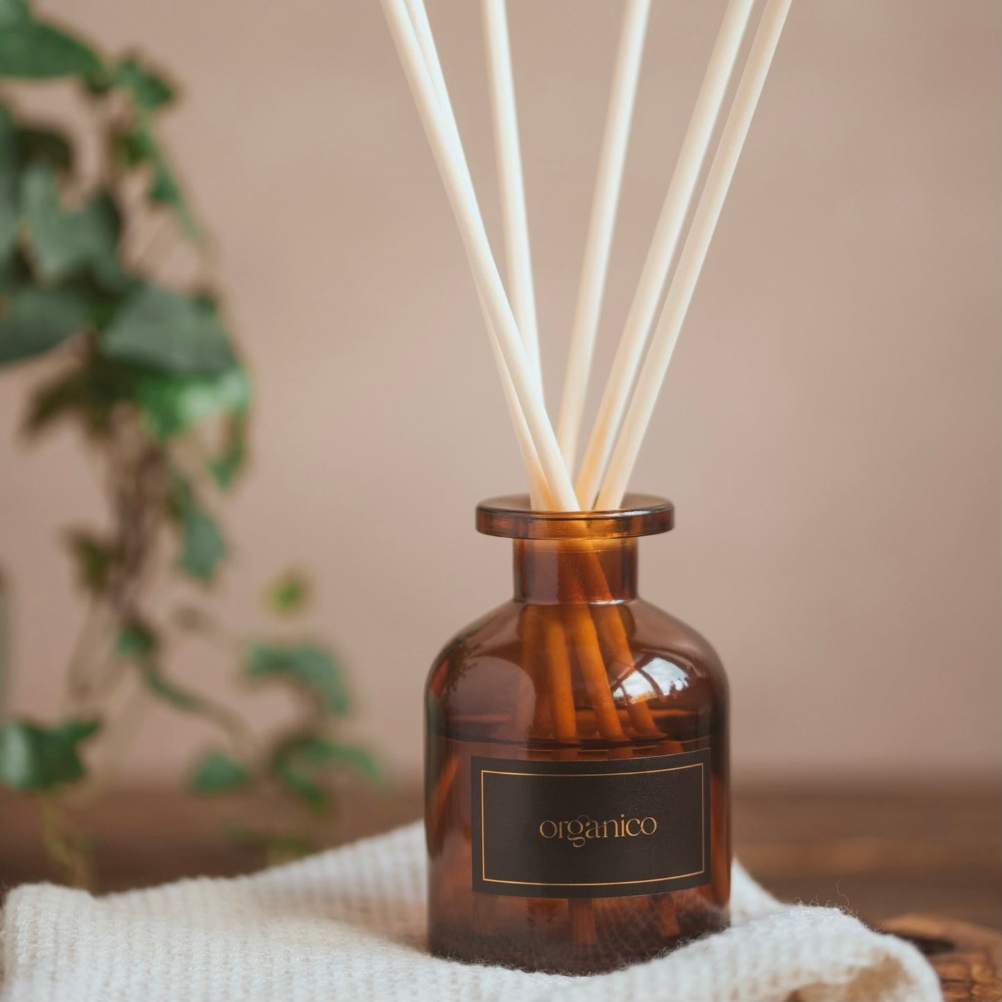 White Cocoa & Cookies