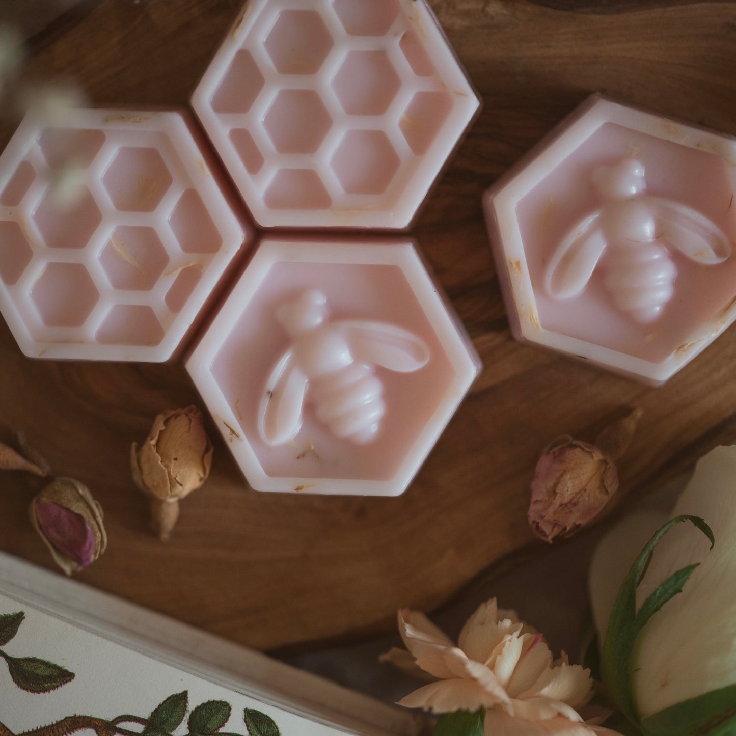 Soft Rose & Jojoba