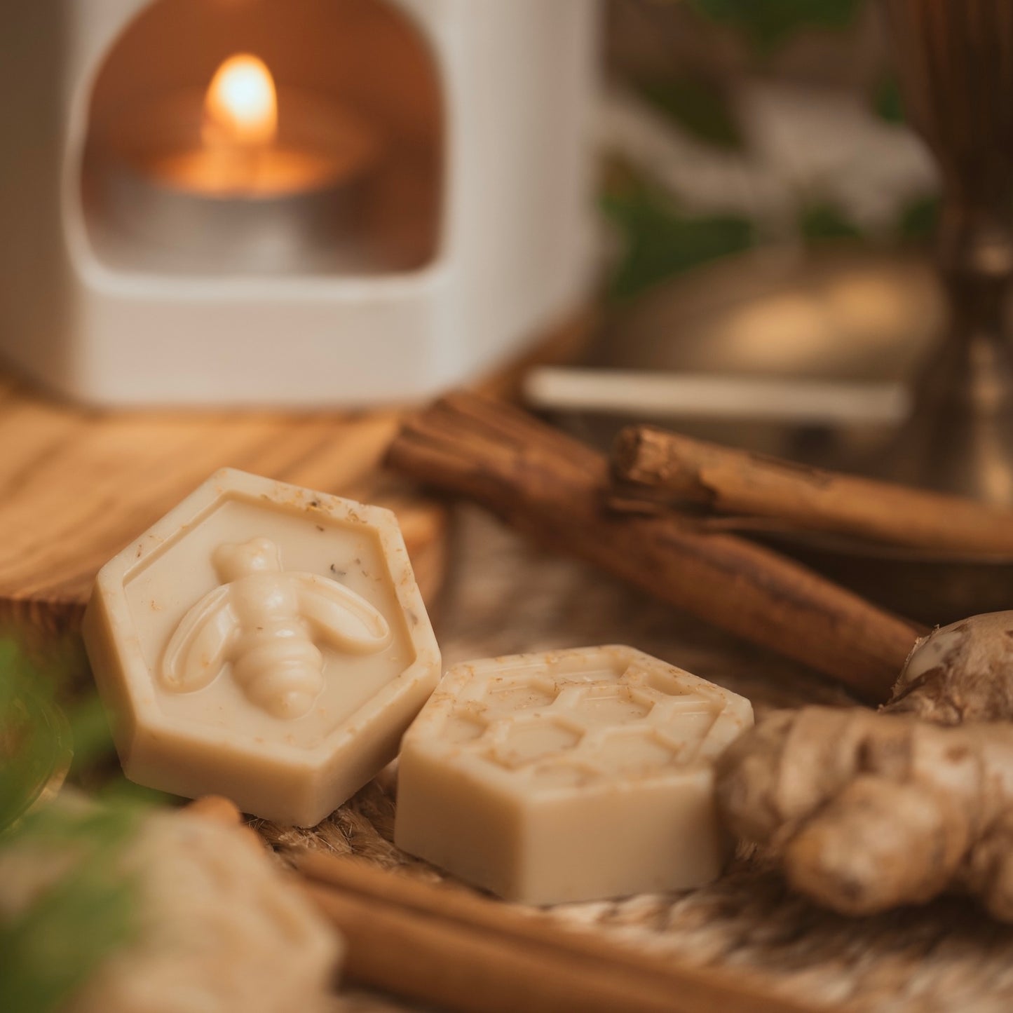 Cinnamon & White Ginger