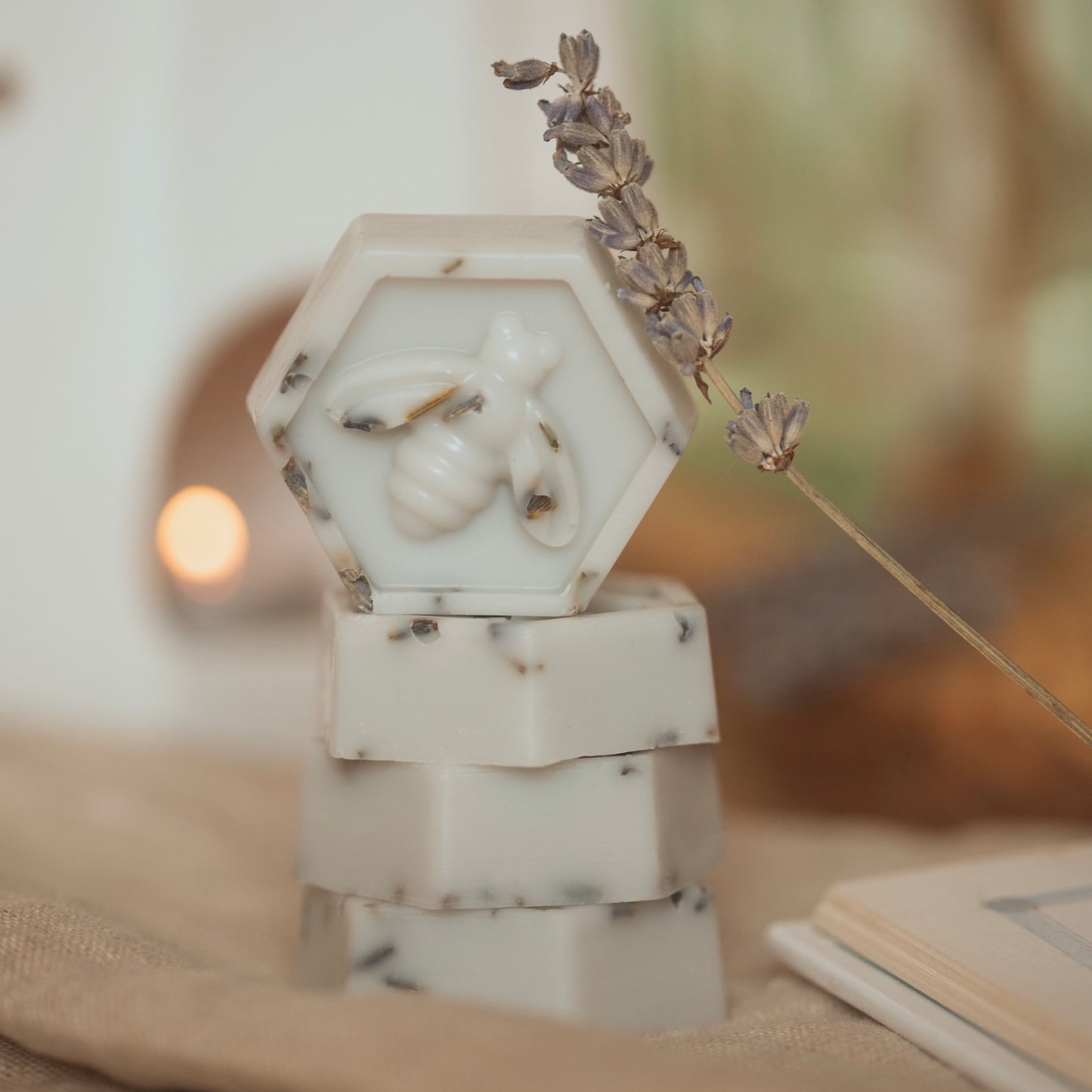 Cedar & Salted Lavender